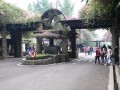 Tn P1030583